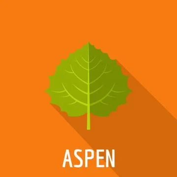 Aspen leaf icon, flat style Stock Illustration