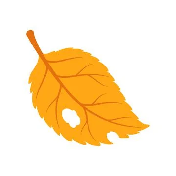 Aspen leaf, yellow birch tree plant leafage icon Illustrazione stock