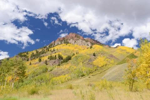 Aspen with mountain Stock Photos