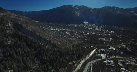 Aspen snow drone trees winter Stock-Footage 63384330