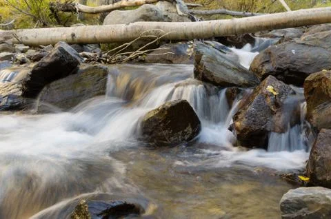 Aspen stream Foto stock