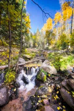 Aspen Stream Stock Photos
