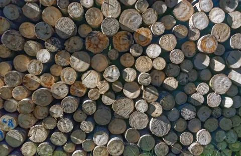 Aspen timber Stock Photos