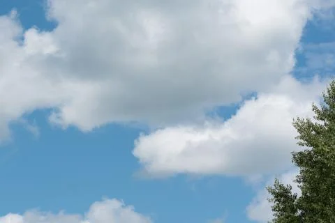 Aspen Tree and Cloudy Blue Sky Stock Photos