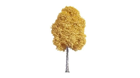 Aspen tree moving in the wind on white background.3D realistic tree isolated Vidéo 148282787