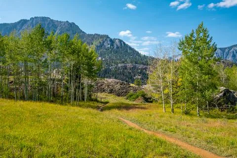Aspens line the path of the Perimiter Trail in Ouray Colorado Stock Photos