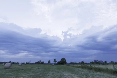 Asperatus à l ouest Video stock 315966860
