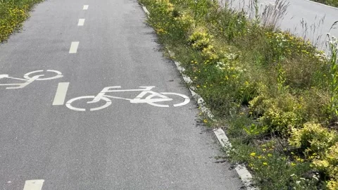 Asphalt bike path bordered by lush green grass and yellow wildflowers Stock Footage 337651386