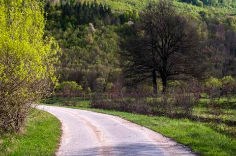 Asphalt country road Stock Photos