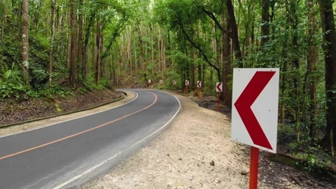 Asphalt empty narrow road in a dense jungle forest. Man Made Forest Stock Footage 135130621