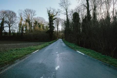 Asphalt empty road passing through the forest in the region of Normandy, France Foto stock