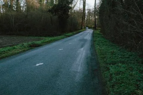 Asphalt empty road passing through the forest in the region of Normandy, France Stock Photos