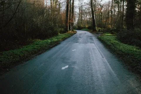 Asphalt empty road passing through the forest in the region of Normandy, France Stock Photos