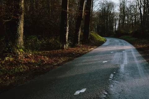 Asphalt empty road passing through the forest in the region of Normandy, France Foto stock