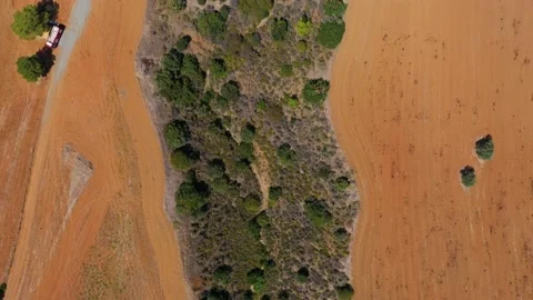 Asphalt highway between thicket fields and green trees Video stock 150921288