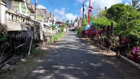 Asphalt path curves gently through modest homes Видео 345143077