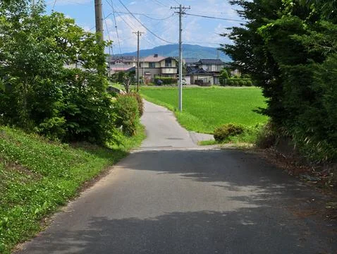 Asphalt path curves gently through green grass and trees Stock Photos