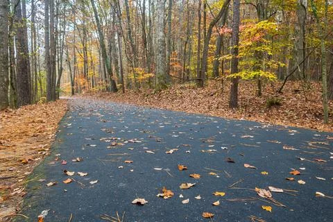 Asphalt Path Extends Through Georgia Park With Pretty Fall Foliage Foto stock
