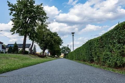 Asphalt path going along city park in background trees 库存照片