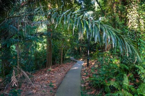 Asphalt path going through lush green park alley Stock Photos