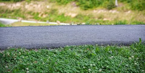 Asphalt path in the park. Stock Photos