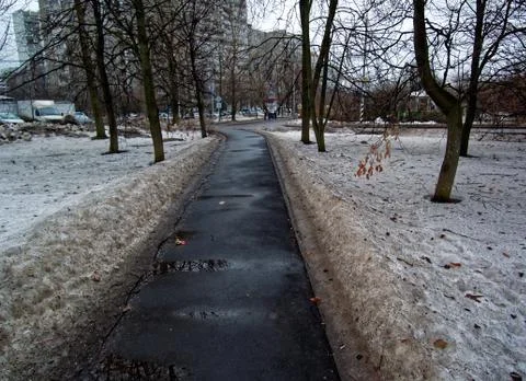 Asphalt path in the Park in winter Stock-Fotos