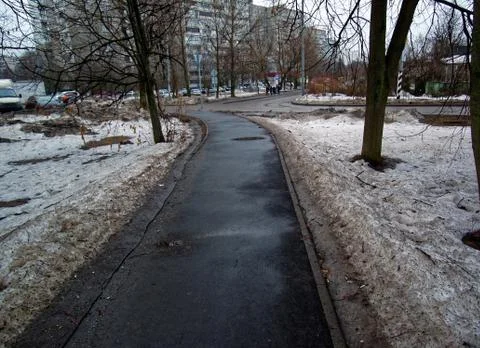 Asphalt path in the Park in winter Foto stock