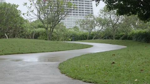 Asphalt pathway among the central of greenery natural park surrounding with t Stock Footage 220733764