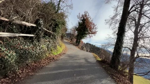 Asphalt road between autumn trees Stock Footage 232218898
