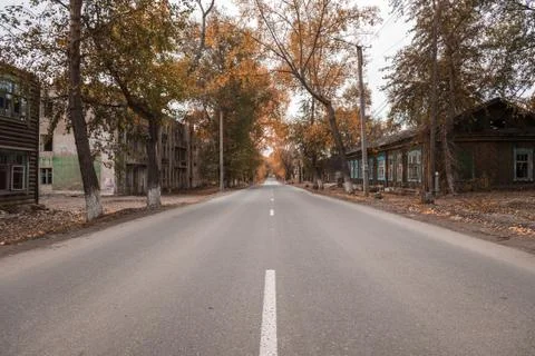 Asphalt road between fields  trees Stock Photos
