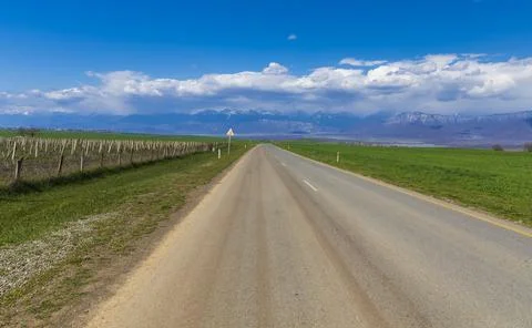 Asphalt road between green fields Stock Photos
