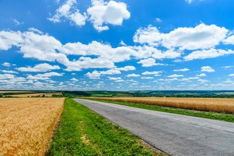 Asphalt road between two fields of the ripe wheat Stock Photos