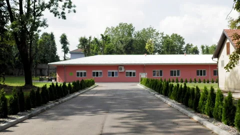 An asphalt road bordered by small pine trees leading to a ground floor building Stockbeeldmateriaal 160045430
