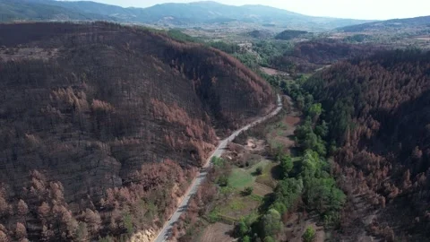 Asphalt road built in between two different surfaces. 4K Drone video. Stock Footage 164880617