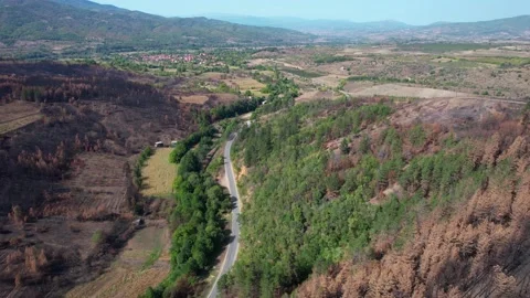 Asphalt road built in between two different surfaces. 4K Drone video. Stock Footage 164880633