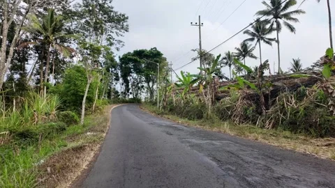 Asphalt road curves gently through tropical greenery Stock Footage 345147256