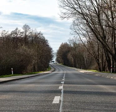 Asphalt road with a dashed line running through a forest of bare trees Foto stock