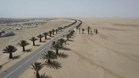 Asphalt road in the desert with palm trees on the sides Stock Footage 264603125