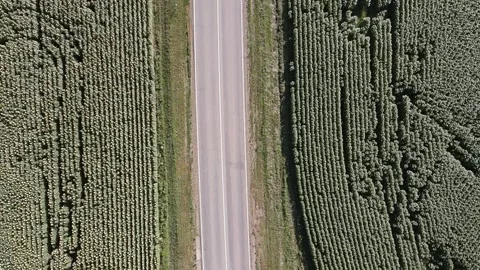 Asphalt Road Fields Drone Top Down Forward 4K Stock Footage 336943605