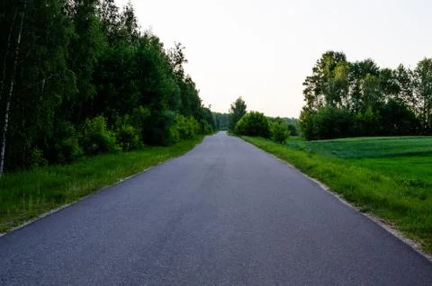 Asphalt road goes into the distance and clear sky near the forest Stock Photos