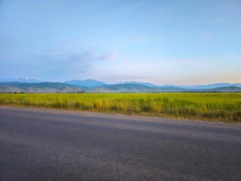 Asphalt Road Leading to Green Fields and Snow-Capped Mountains Stock-Fotos
