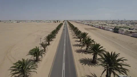 Asphalt road in the middle of the desert with palm trees on the sides Stock Footage 264602331