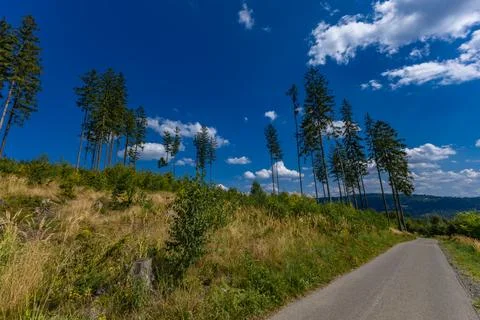 Asphalt road in the mountains, bicycle path, Beskid ?l?ski Stock Photos