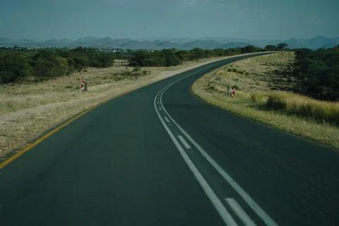 Asphalt road in Namibia, many trees along the sides of the road, mountains .. Stock Photos