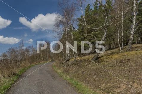 Asphalt road near meadows and pasture land in spring day Stock Photos
