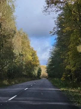 Asphalt road passing between dense autumn trees on sunny day Stock Photos