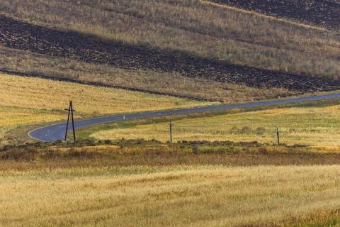 Asphalt road passing through the fields Stock Photos