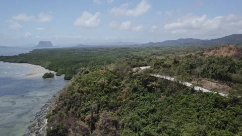 Asphalt road in the Philippines in palm trees Stock-Footage 280138072