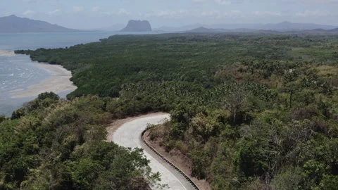 Asphalt road in the Philippines in palm trees Stock Footage 280138137