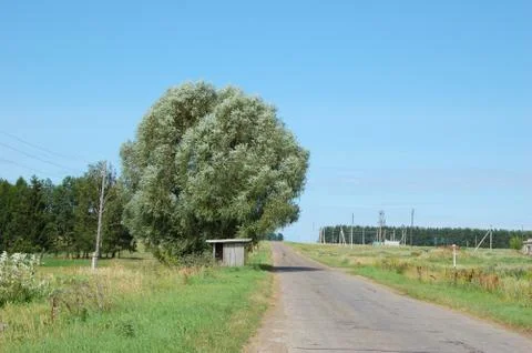 Asphalt road Stock Photos